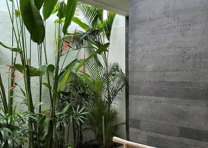 Aster Seminyak